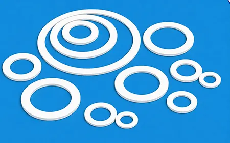 PTFE Gasket