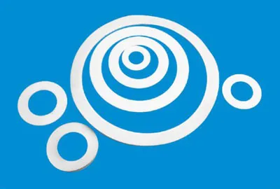 PTFE Envelope